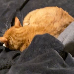 Meet your Posher, Kris